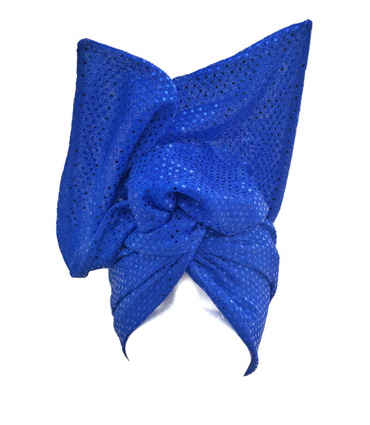 Blue Sequin Wire Headband